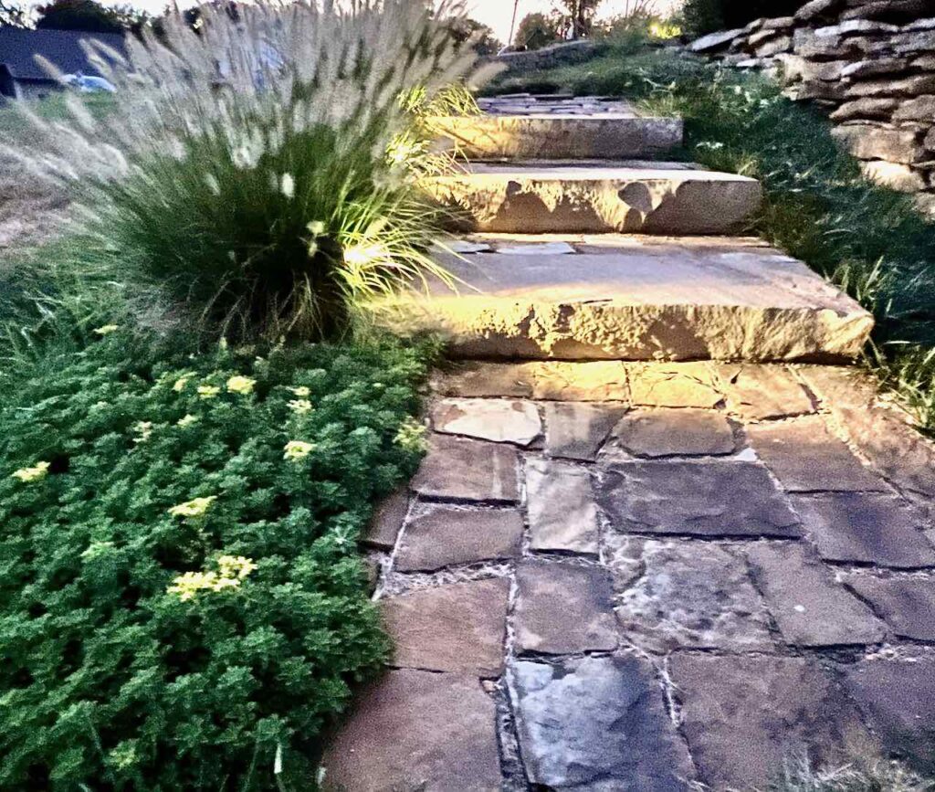 stone walk and steps lit at dusk with ornamental grass beside and a succulent ground cover in front