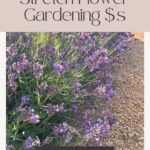 Thrifty Garden Ideas Pin #2
