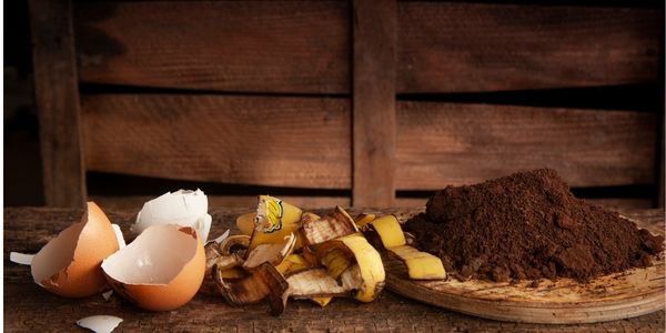 Broken egg shells next to banana peels next to a pile of soil