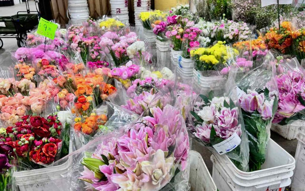 rows and rows of Spring fresh cut flowers in buckets at the Flower Market