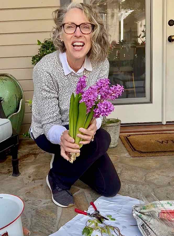 woman kneeling on a patio holding  a bundle of Hyacinths to clip the stems and place in water