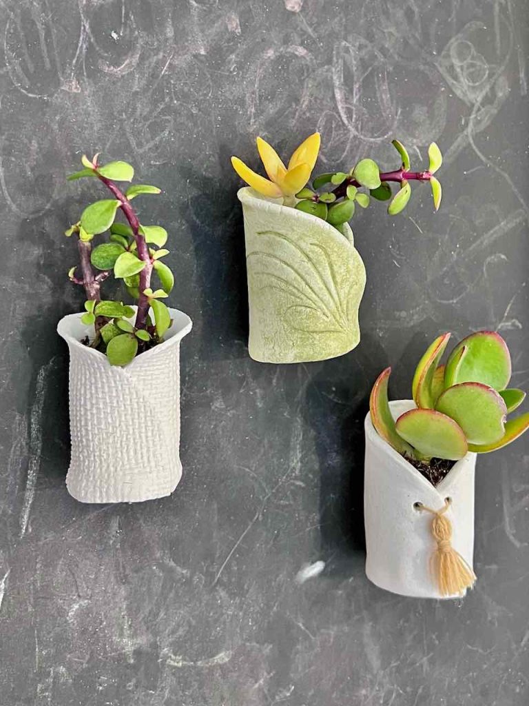 Three succulents in different clay pots stuck to a magnetic chalk board