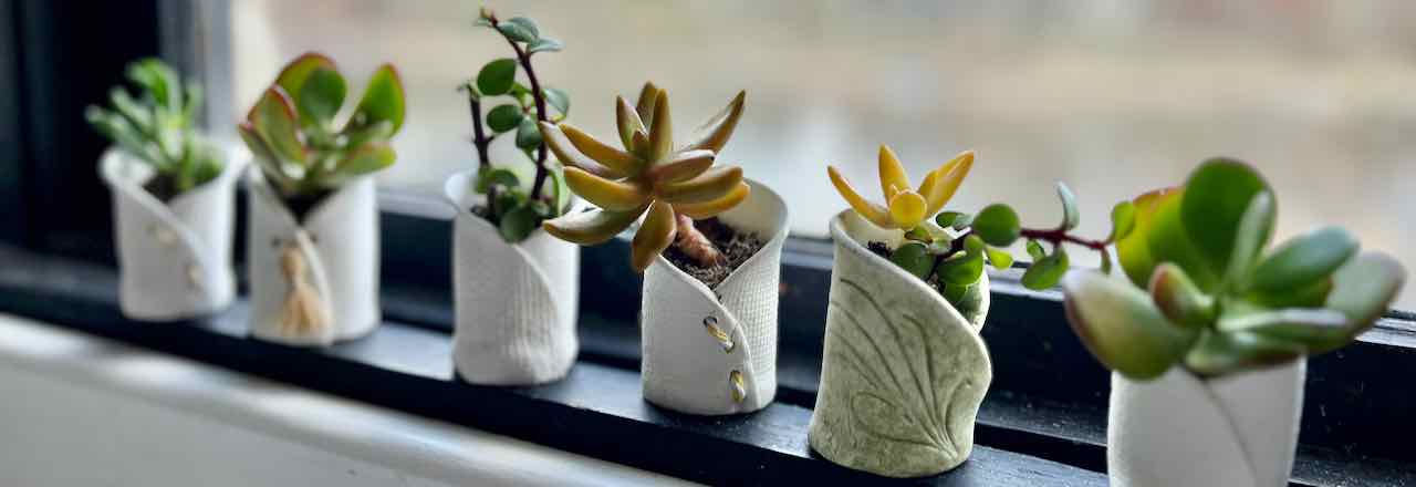 six different clay succulent pots sitting on a window ledge