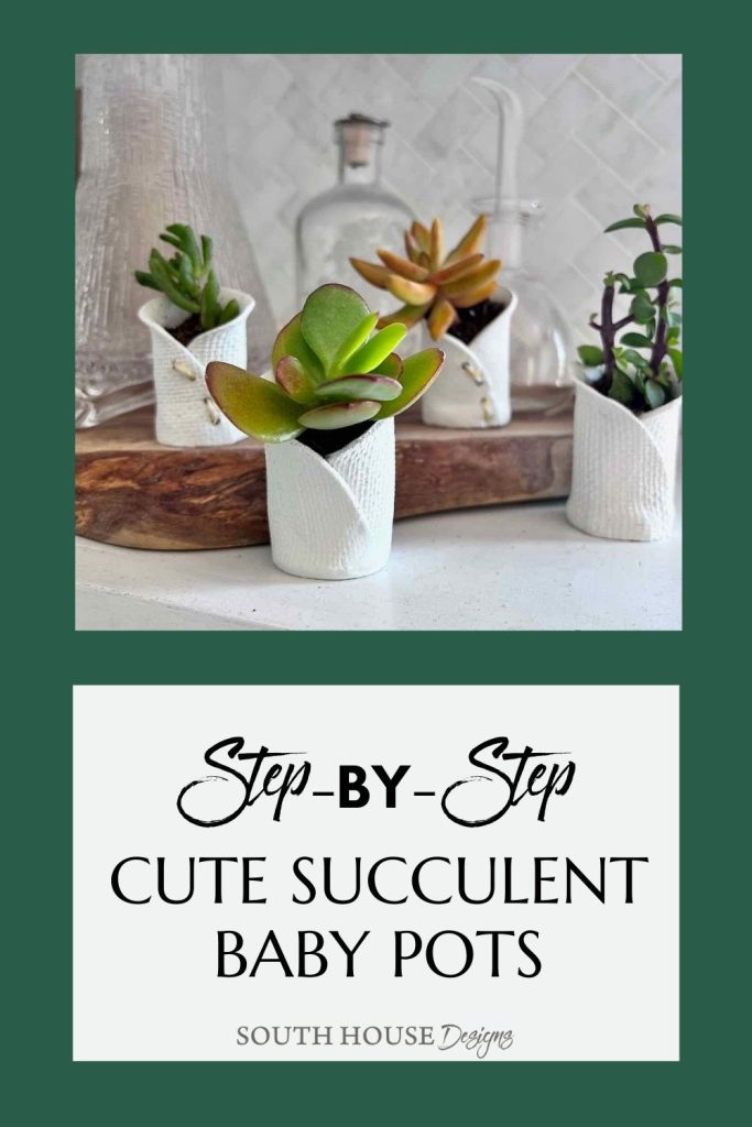 Pinterest Pin with image of four pots witth succulents on a ledge. Caption: Step-by-step,  Cute Succulent Baby Pots