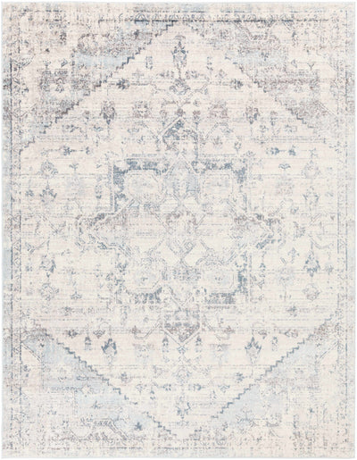 traditional Persian style area rug