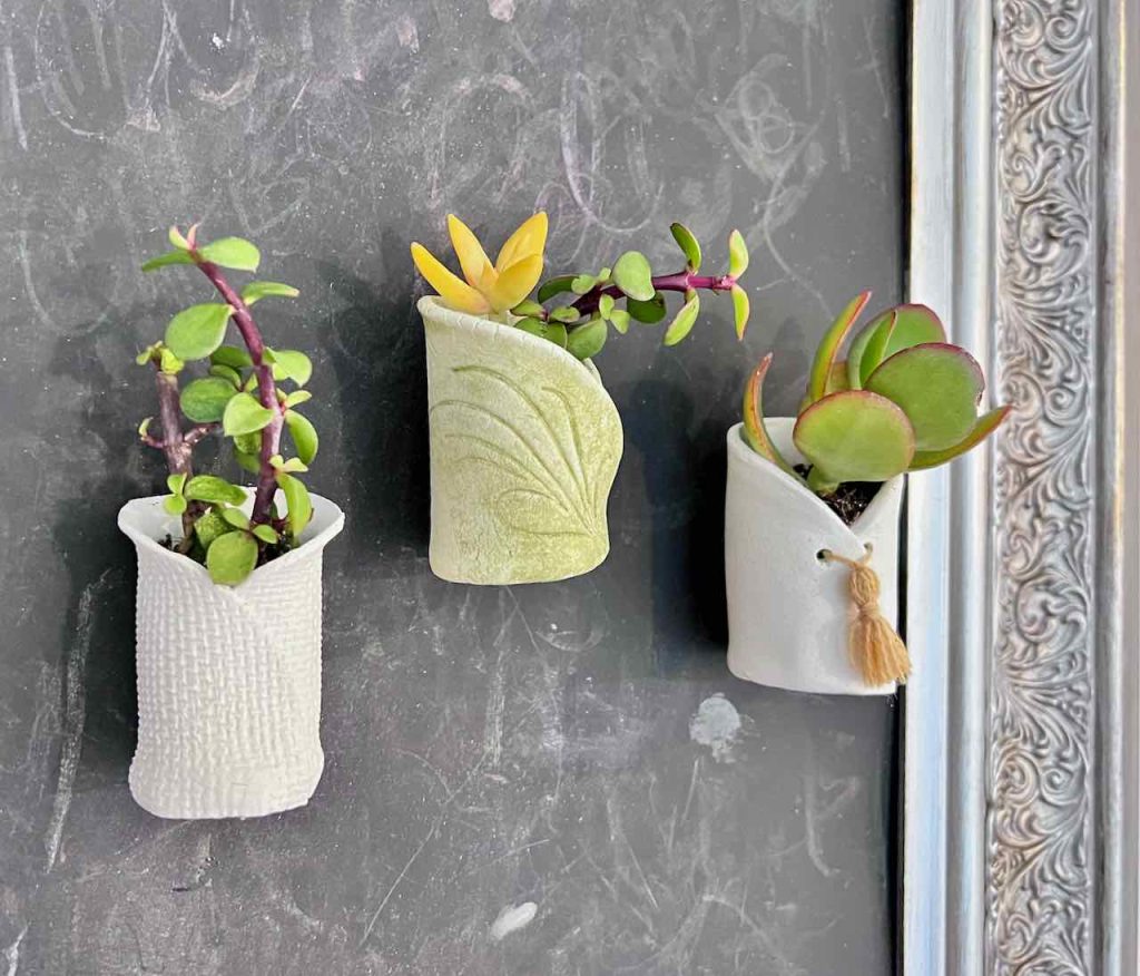 Three succulents in finished pots hanging on a magnetic chalkboard