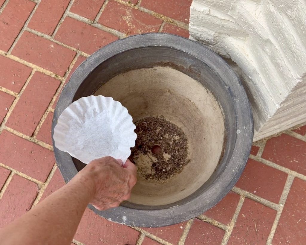 woman's hand placing an unused coffee filter in the bottom of a large concrete pot