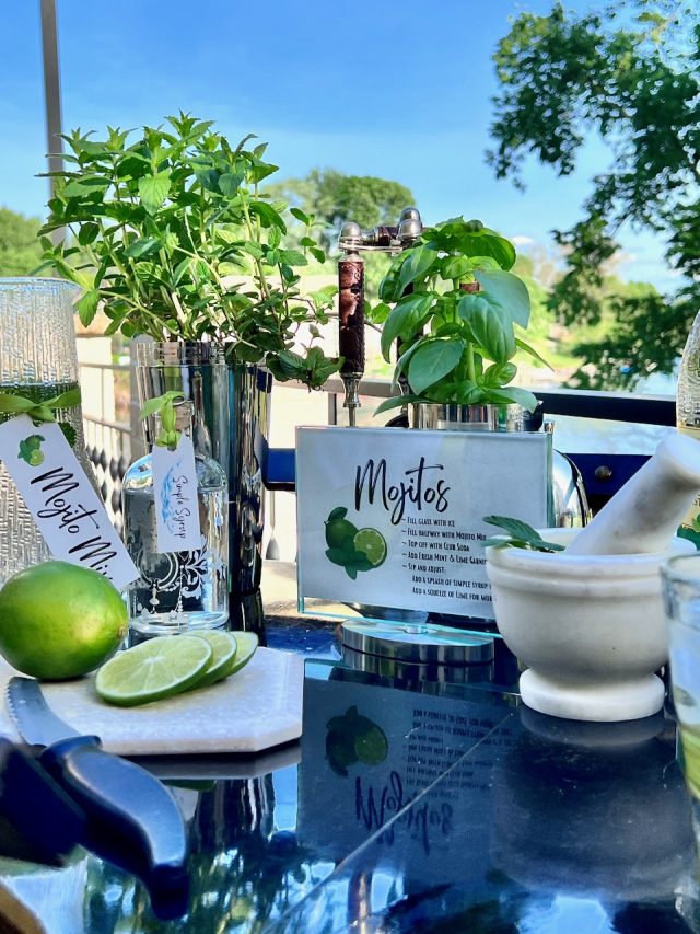 Easy Herbal Cocktail Garden for the BEST Drinks