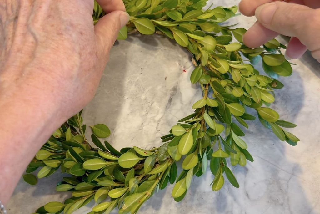 woman's hands hold a boxwood sprig over the wires holding the wreath together