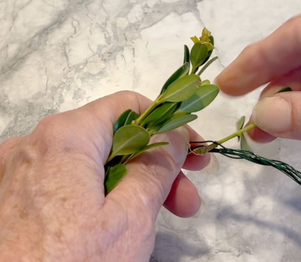 closeup showing am woman's hands pushing a boxwood stem through the wire form
