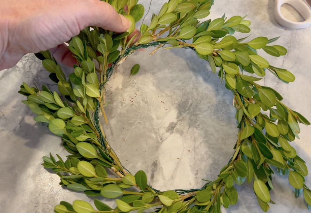 closeup of pulling wire between the leaves when making a fresh boxwood wreath