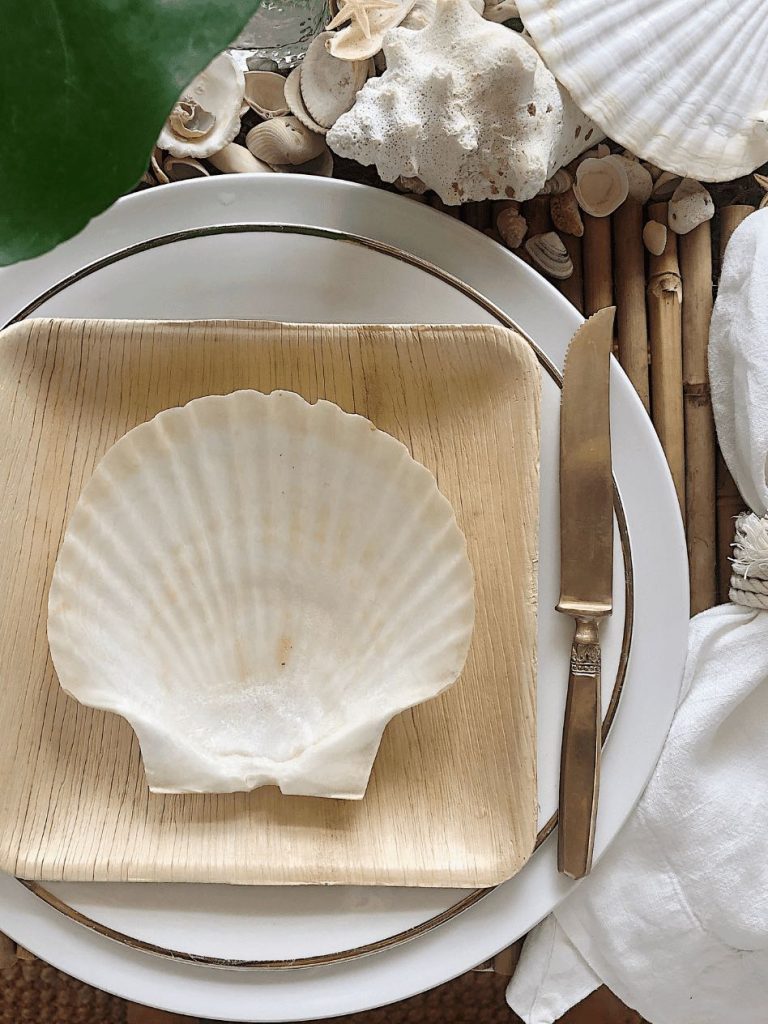 shell on a square bamboo plate on a white china plate