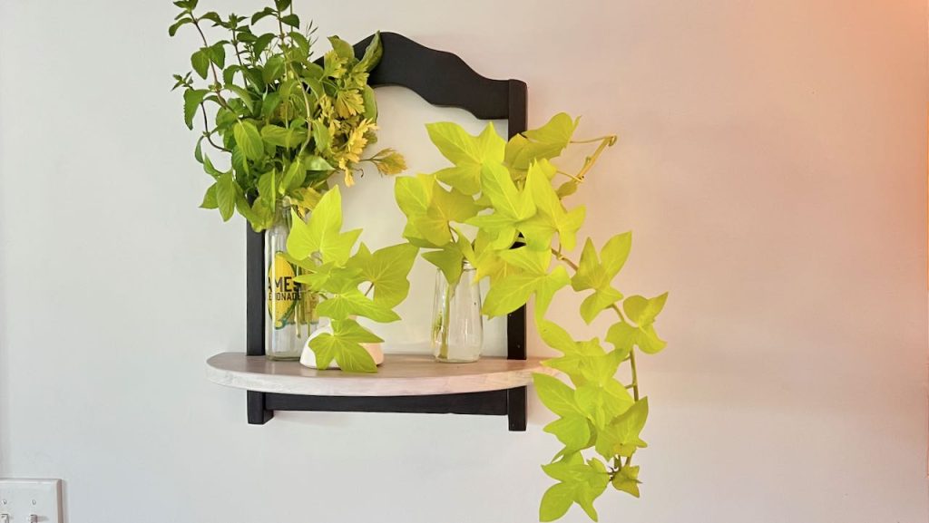 Decorative shelf hanging on wall holding a three bottles of water with fresh herbs and sweet potato vines in them