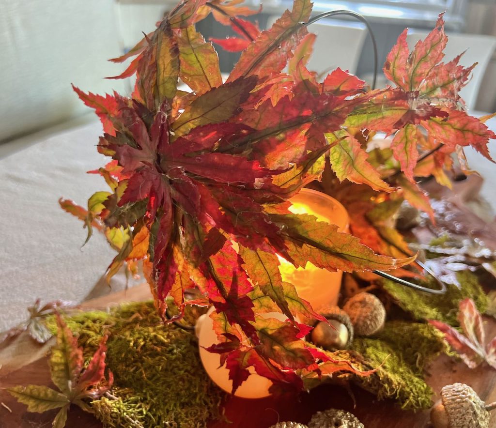 closeup of end of leaf covered orb