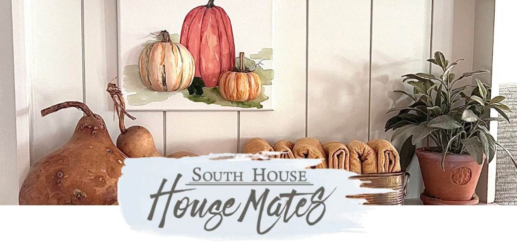 Cover image of pumpkin art on the backboard of a dry bar behind the title of South House House Mates