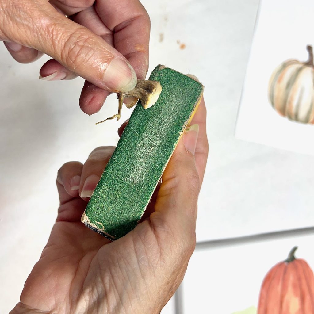 closeup of woman's finger holding a micro sander and rubbing the side of a pumpkin stem on it