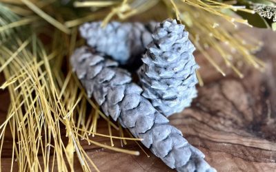 How to Make Unique Faux Concrete Pine Cones For Decor