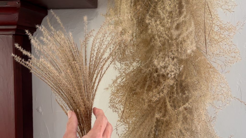 hand holding a bundle of freshly cut grass next to dried grass