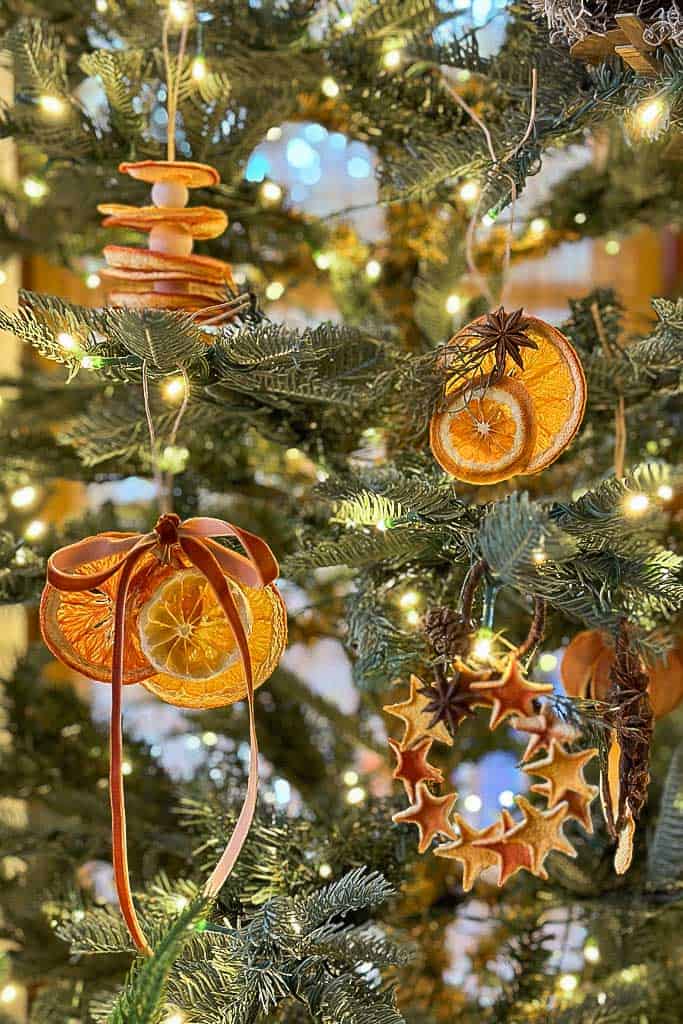 Dried fruit ornaments hanging on a tree