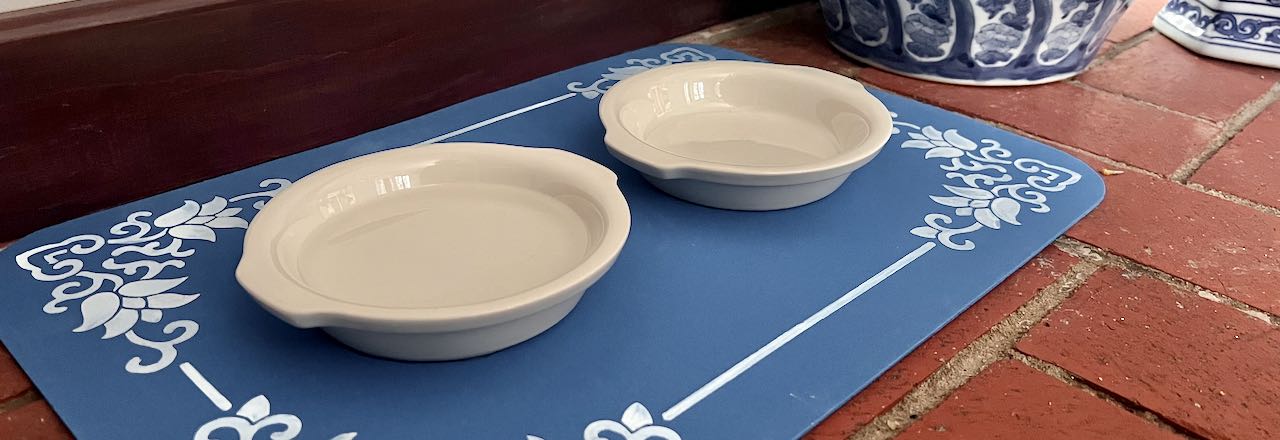 wide closeup of two bowls on a dog bowl mat on a brick floor 