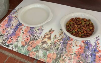 Make a Colorful Spring Dog Bowl Placemat with Decoupage