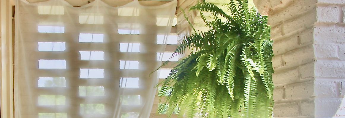 wide closeup of sheer curtain panel hanging in front of a brick screen with a boston fern hanging in a brick archway