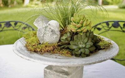 How to Make Cutest Bird Baths For Centerpieces or Decor