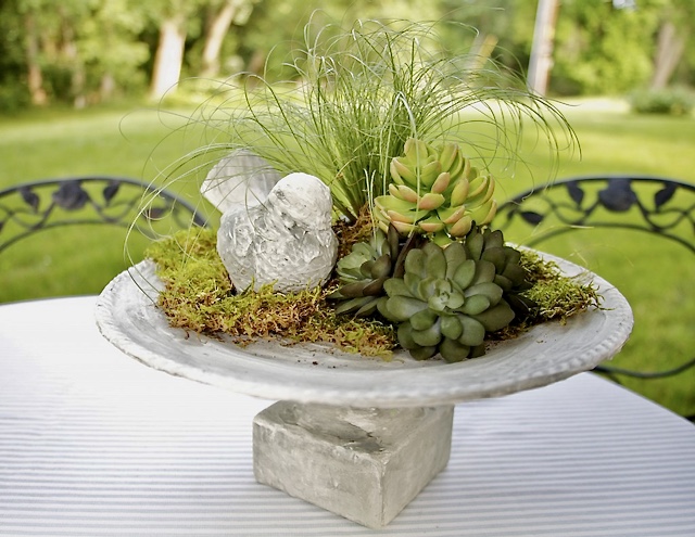 modern faux concrete birdbath is seen with some preserved moss around a "concrete" bird, some faux succulents and a tuft of ornamental grass