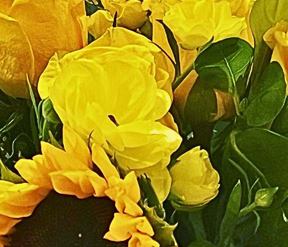 closeup of yellow flowers