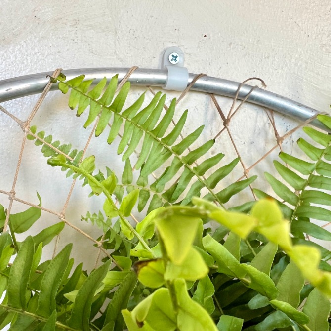 Close-up of green fern leaves against a white wall, hanging on a circular metal frame with twine. Perfect to display near windows or use to decorate candles, with a white screw and clip securing the frame to the wall.