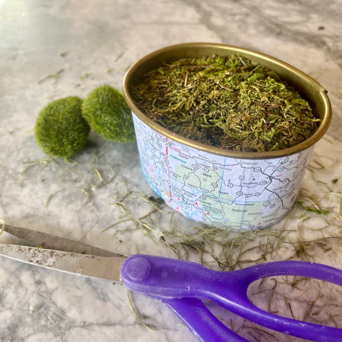 A tin filled with dried green moss sits on a marble surface next to two small moss balls and a pair of purple-handled scissors, suggesting creative ways—like crafting or upcycling—as you ponder what to do with old maps. Bits of moss are scattered around.