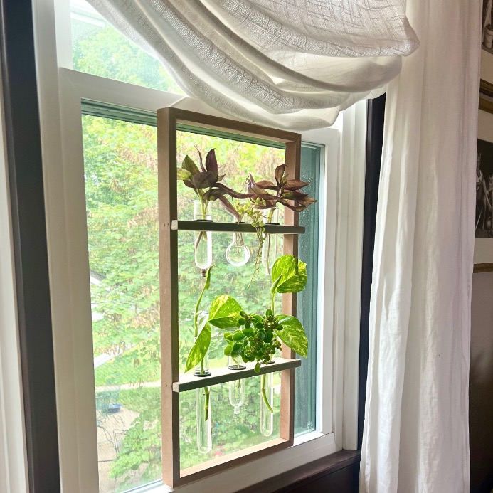 A wooden frame with glass test tubes holding plant cuttings hangs in front of a sunlit window with sheer white curtains. Lush greenery and trees are visible outside.
