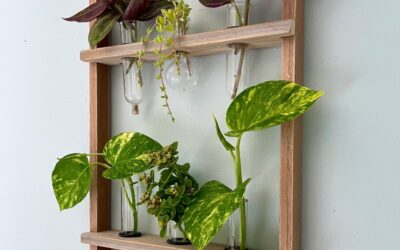 Turn An Old Frame Into a Great Plant Cutting Display