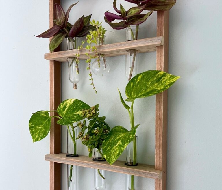 Turn An Old Frame Into a Great Plant Cutting Display - South House Designs