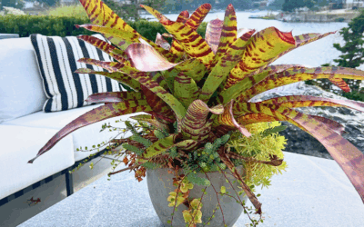 Weekender Newsletter 9-20-25