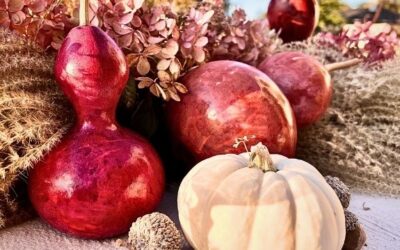 Weekender Newsletter W/ Shopping With Friends 11-1-25