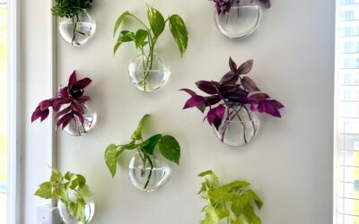 How To Hang Anything — Frames, Vases, Plates — With Perfect Spacing