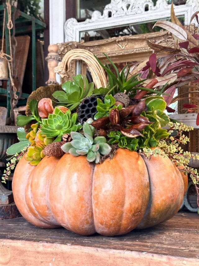 A large orange pumpkin is used as a planter, filled with a variety of colorful succulents, dried seed pods, and foliage, sitting on a wooden surface in a rustic, decorative setting.