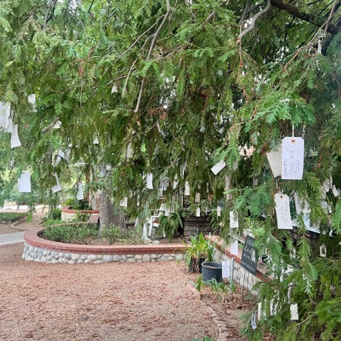 A large tree with green branches covered in numerous white paper tags, each hanging by a string. Some tags have handwritten messages. The tree stands in a garden area with brick edging and gravel paths.