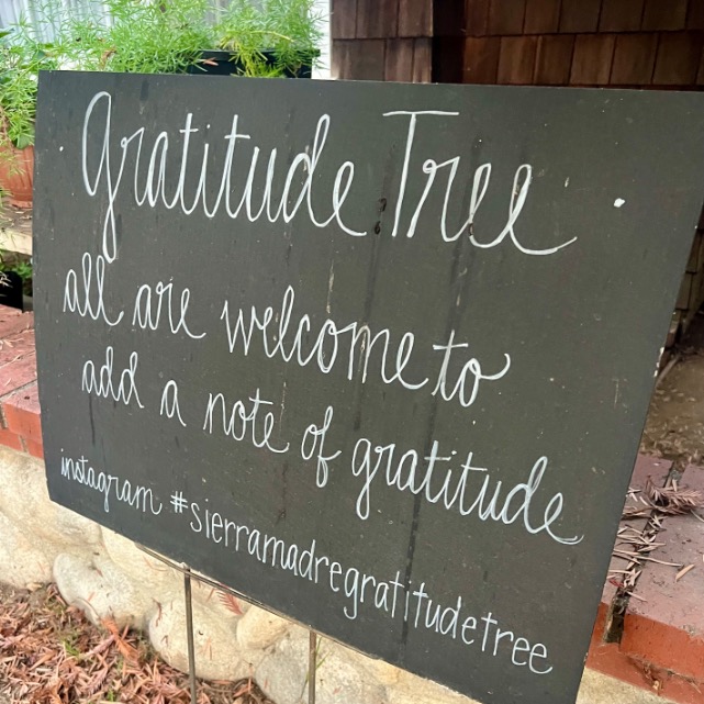 A black sign with white handwritten text reads: โGratitude Tree - all are welcome to add a note of gratitude. instagram #sierramadregratitudetree.โ The sign is outdoors, near plants and a brick ledge.
