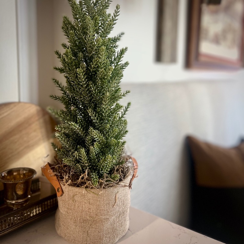 A small, potted evergreen tree in a burlap-wrapped pot with brown leather handles sits on a light surface—an elegant touch inspired by Ralph Lauren Christmas ideas in a cozy, softly lit interior with neutral colors and blurred decor.