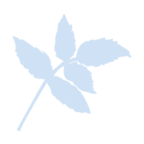 A light blue silhouette of a leafy plant branch with five leaves on a plain, light gray background.