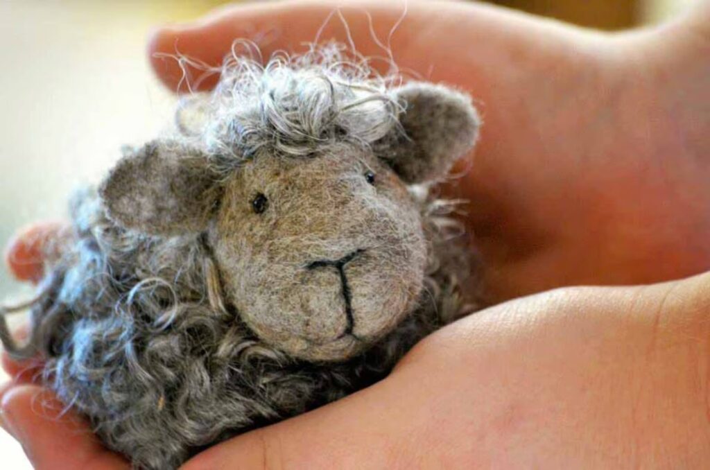 A pair of hands gently cradles a small, curly-haired, gray felt sheep with stitched features and a soft, woolly texture.