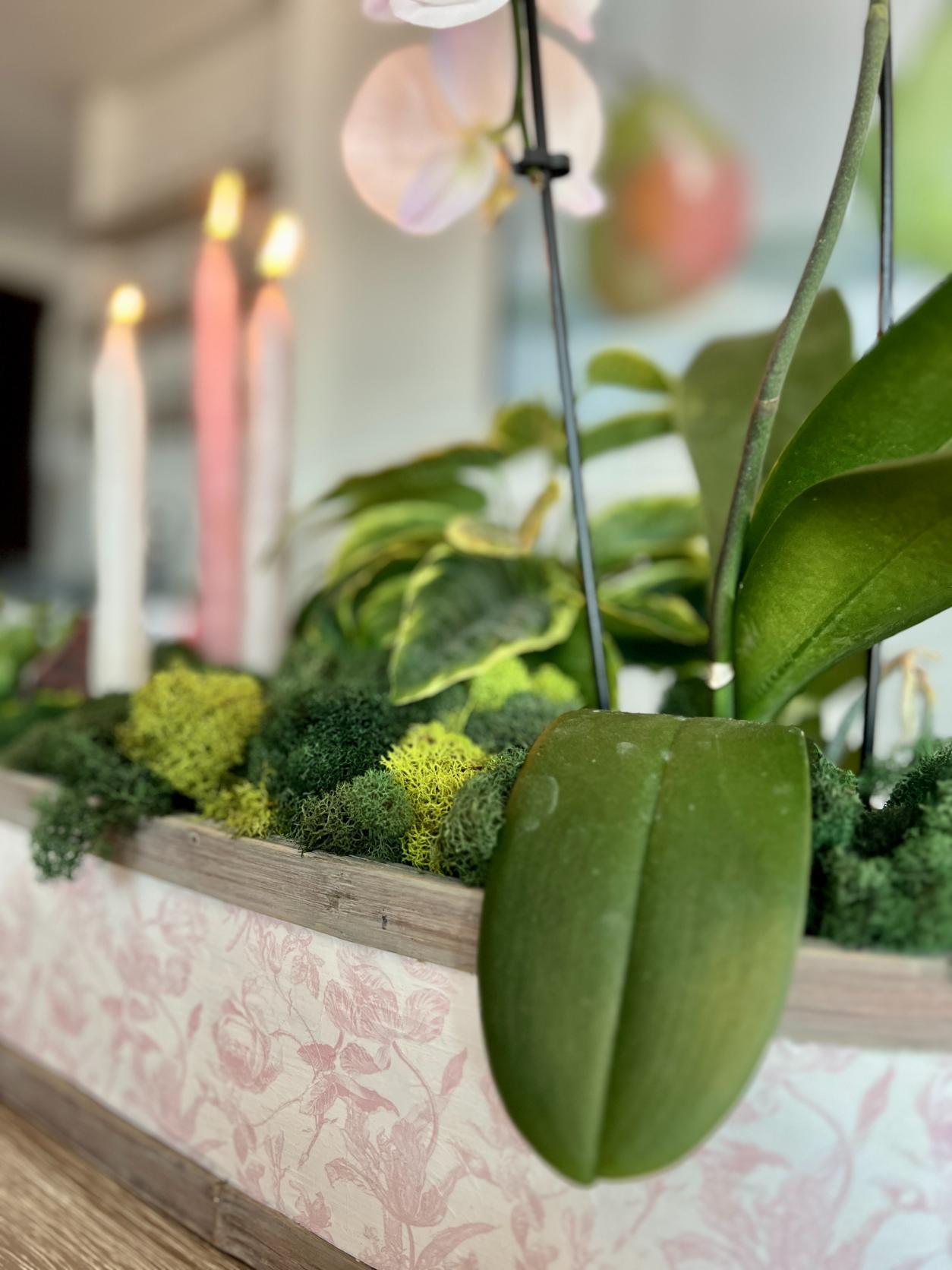 Close-up of a thrifted basket makeover: a planter box with green moss, a large orchid leaf in the foreground, blurred pink and white candles, and leafy indoor plants in the background. The planter has a pink floral pattern.