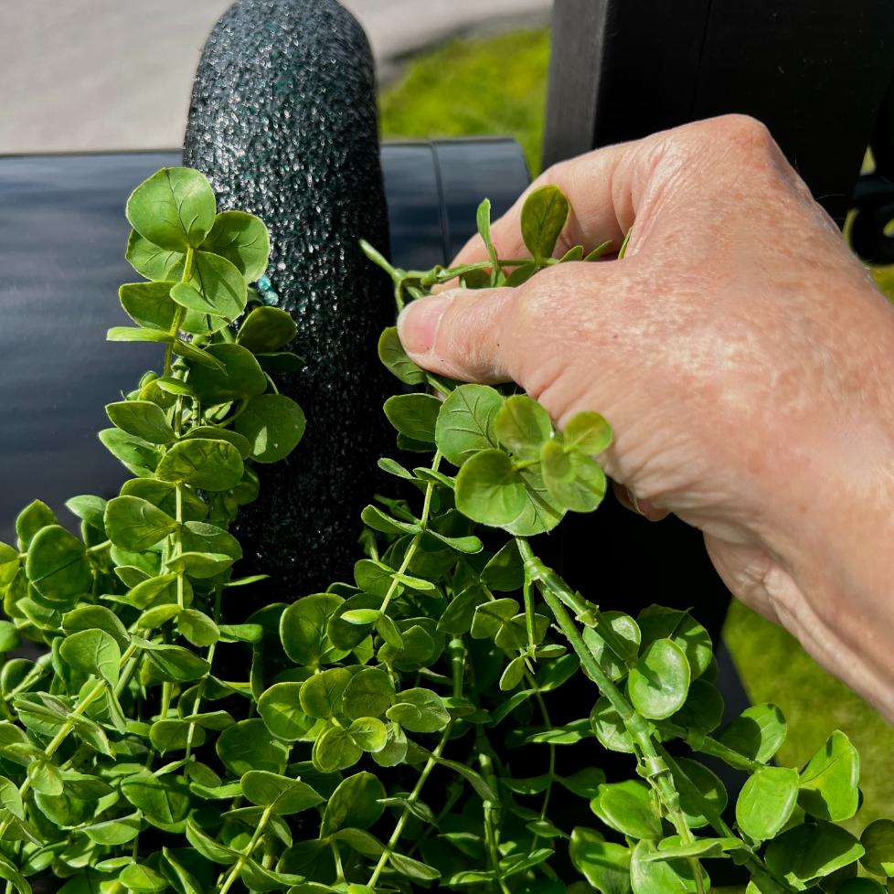 A hand gently holds a trailing stem of a green leafy plant growing beside a black metal or plastic structure, possibly near a DIY patriotic mailbox swag, with grass visible in the background.
