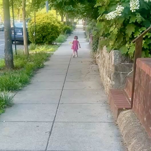A small child in a pink dress walks alone down a sunlit sidewalk bordered by green trees, shrubs, and a stone wall on a quiet street.