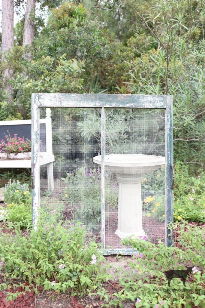 An old window frame with mesh stands in a neighborhood cutting garden, framing a white birdbath surrounded by green plants and flowers, with trees and a bench in the background.