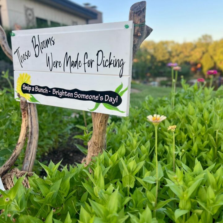 A wooden sign in a garden reads 