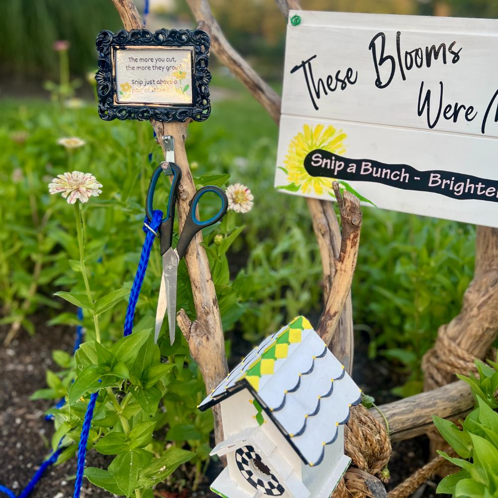 A small garden display features scissors on a hook, a framed quote, a sign reading "These Blooms Were Meant to be Seen," and a decorative birdhouse nestled among green plants and flowers—perfect inspiration for any neighborhood cutting garden.