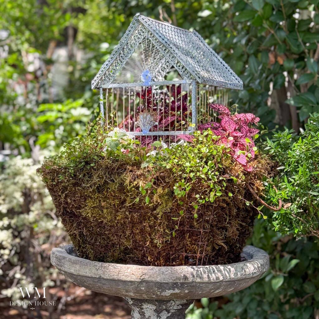 A decorative birdcage with a glass roof sits atop a moss-covered planter filled with green and pink foliage, reminiscent of treasures from a neighborhood cutting garden, displayed on a stone pedestal outdoors and surrounded by lush greenery.